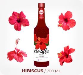 floral_hibiscus.png